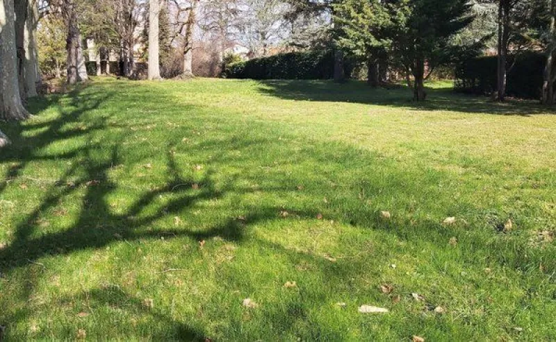 Terrain à bâtir à Maisse