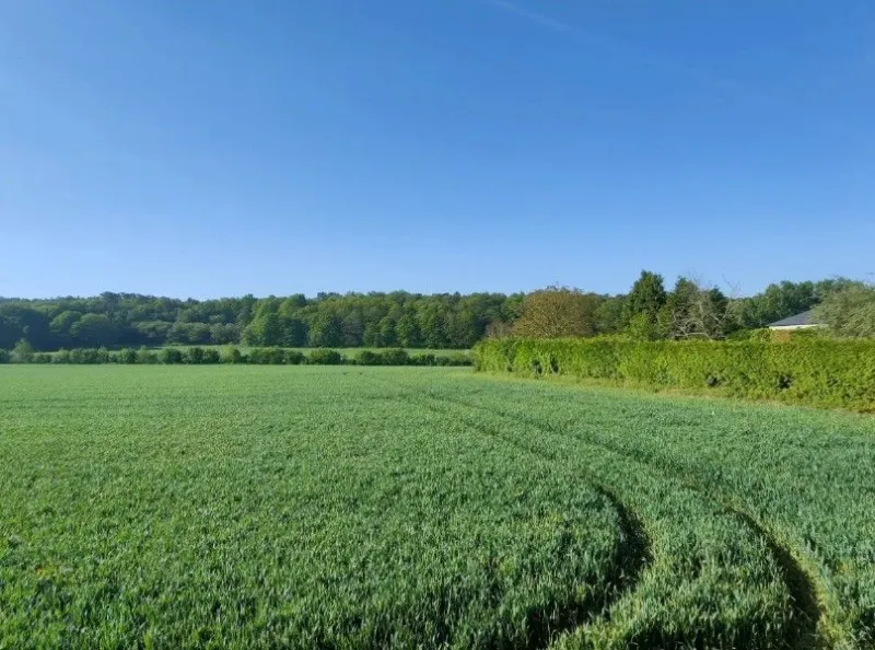 Terrain à bâtir à Saint-Guyomard