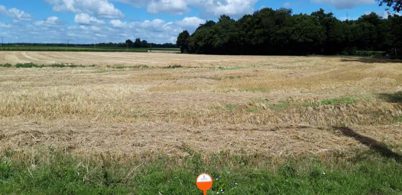 Terrain à bâtir à Tesson