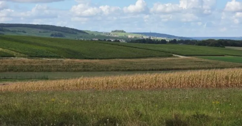 Terrain à bâtir à Sermiers