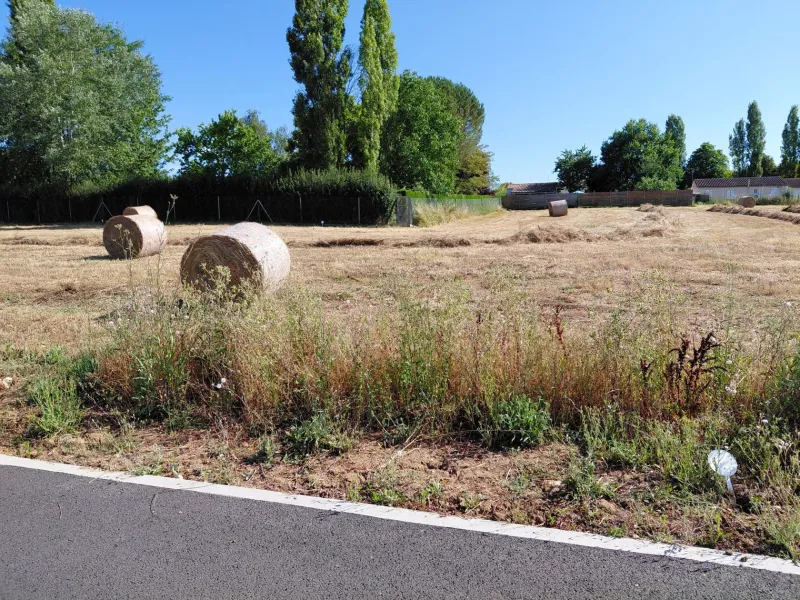 Terrain à bâtir à Écoyeux