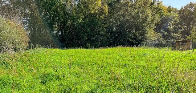 Terrain à bâtir à Bouaye