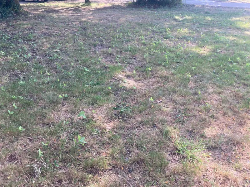Terrain à bâtir à Salles