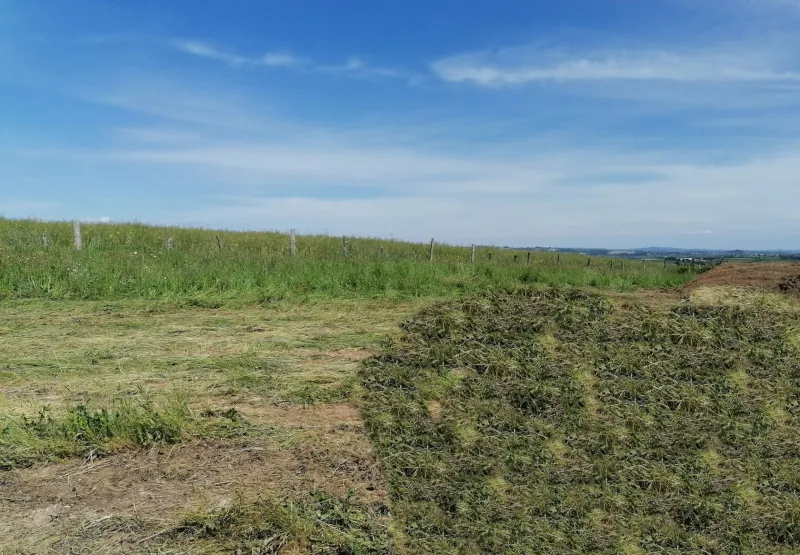 Terrain à bâtir à Castanet