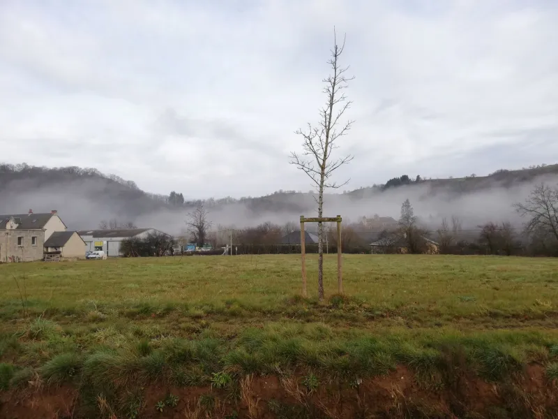 Terrain à bâtir à Sébrazac