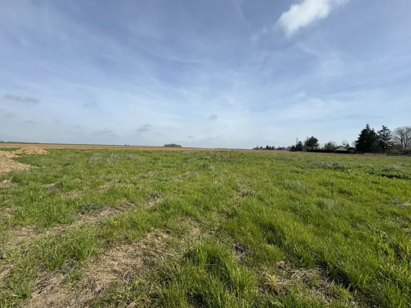 Terrain à bâtir à Jumelles
