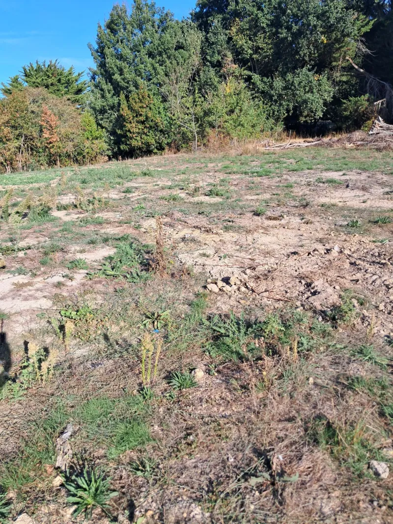 Terrain à bâtir à Villeneuve-en-Retz