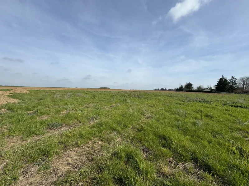 Terrain à bâtir à Jumelles