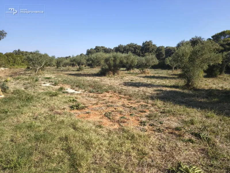 Terrain à bâtir à Saint-Siffret