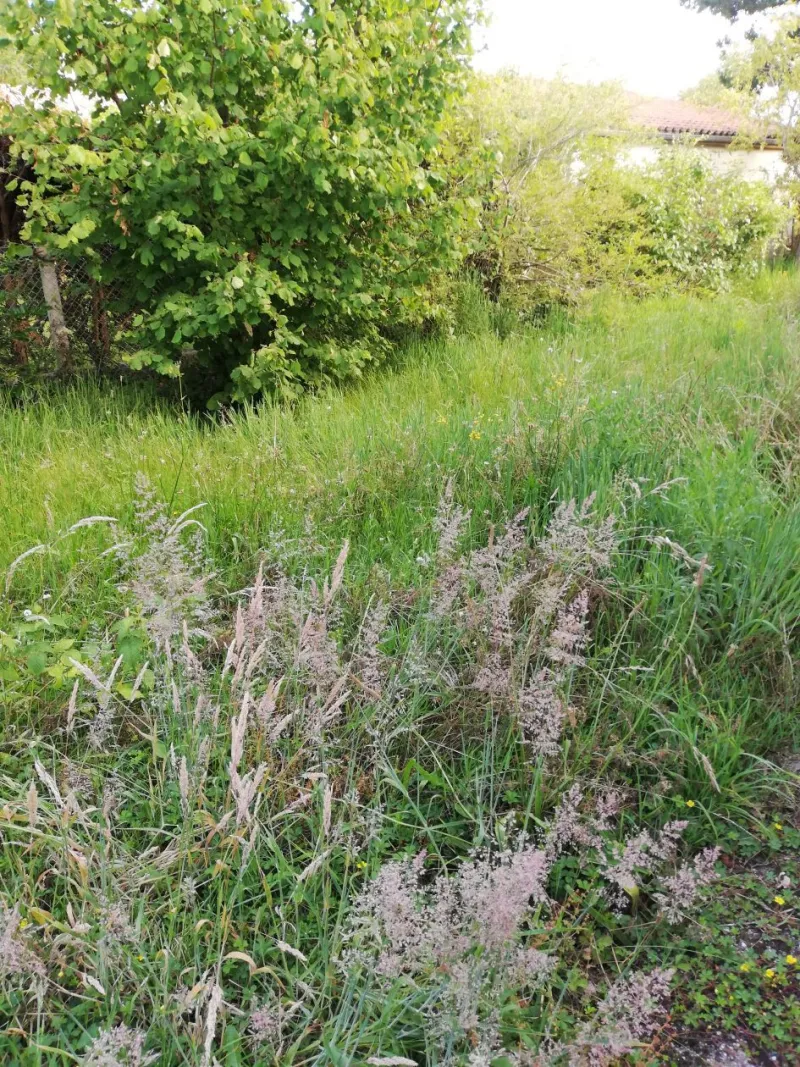 Terrain à bâtir à Bordeaux
