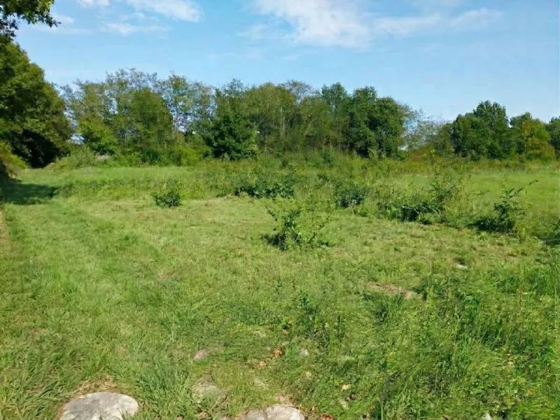 Terrain à bâtir à Saint-Étienne-de-Tulmont