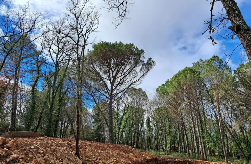 Terrain à bâtir à Tourrettes