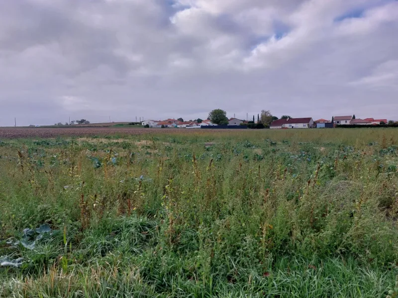 Terrain à bâtir à Martres-d'Artière