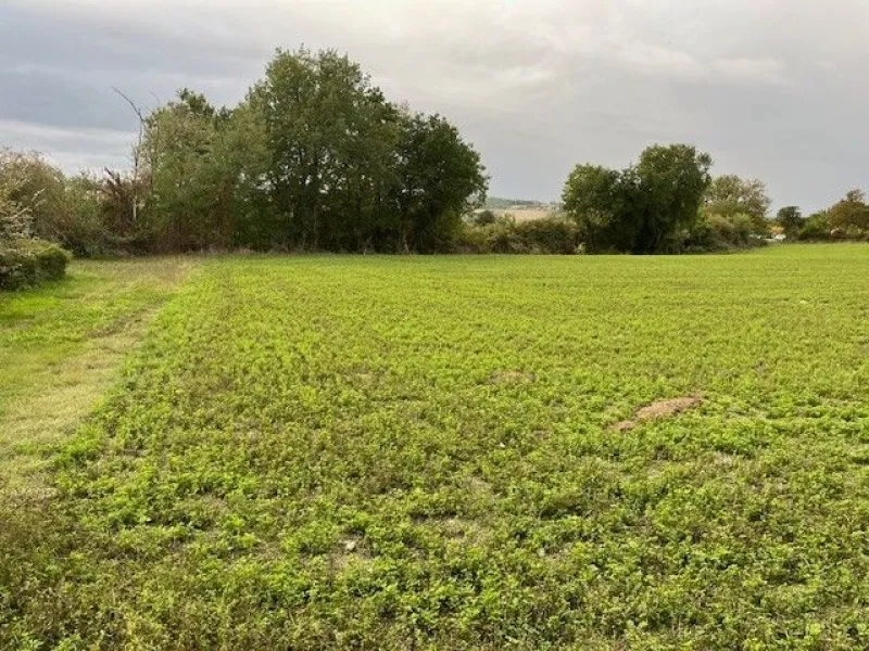 Terrain à bâtir à Ribérac