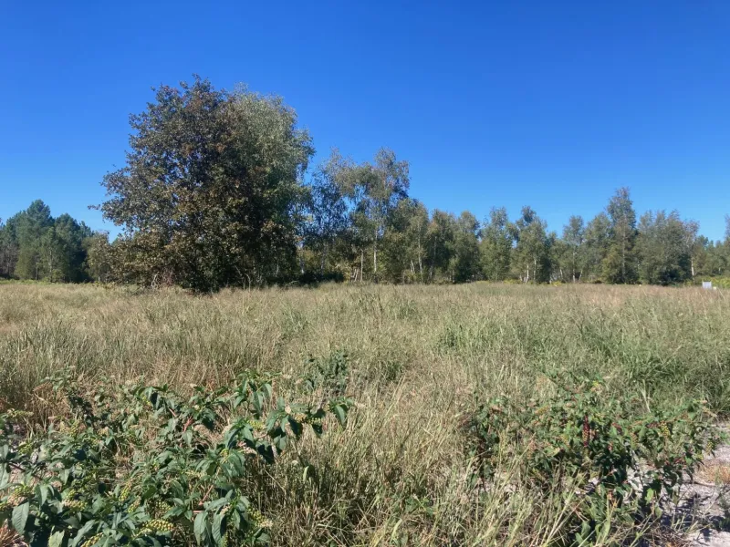 Terrain à bâtir à Salles