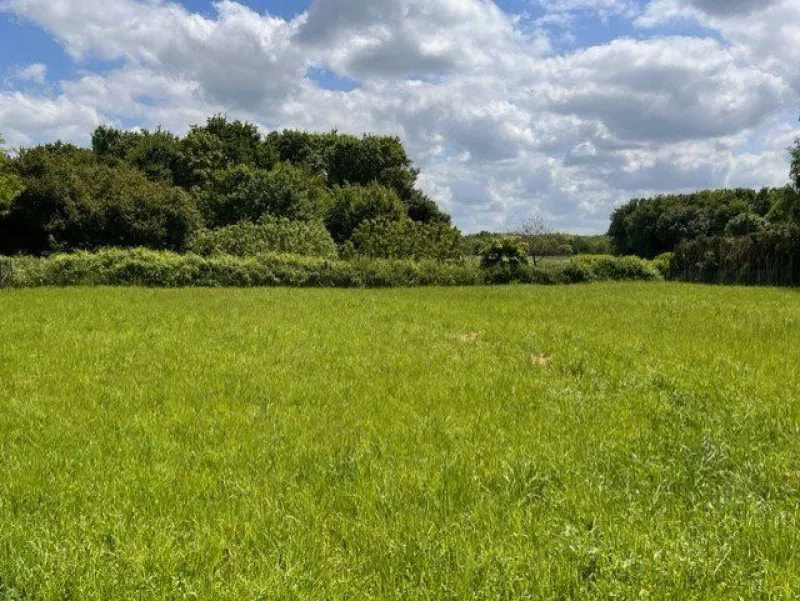 Terrain à bâtir à Cholet