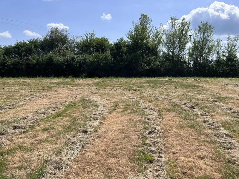 Terrain à bâtir à Saint-Germain-de-Montbron