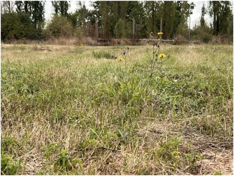 Terrain à bâtir à Agris