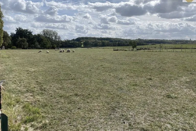 Terrain à bâtir à Coussay-les-Bois