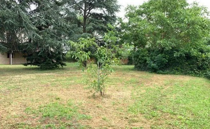 Terrain à bâtir à Villemoisson-sur-Orge