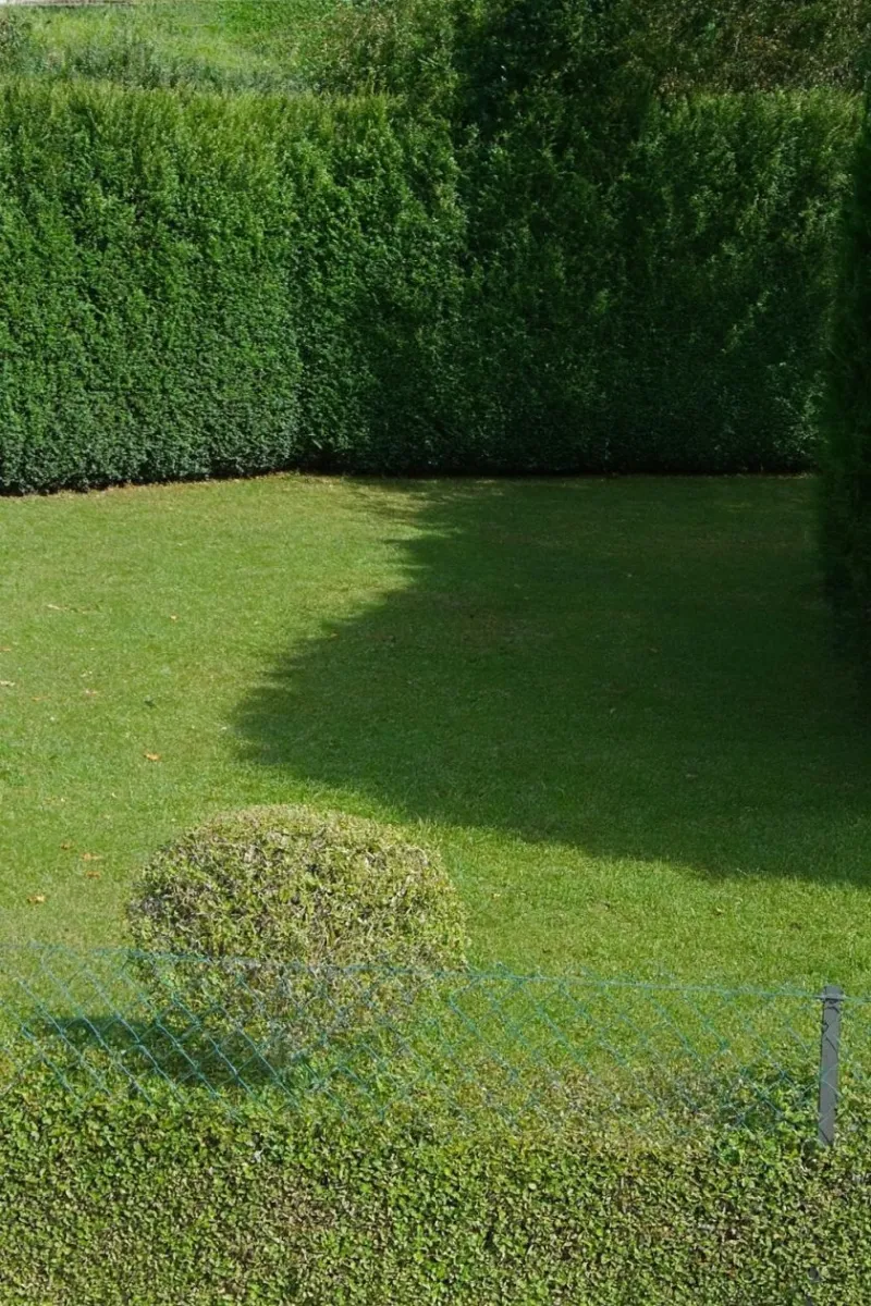 Terrain à bâtir à Bonnelles