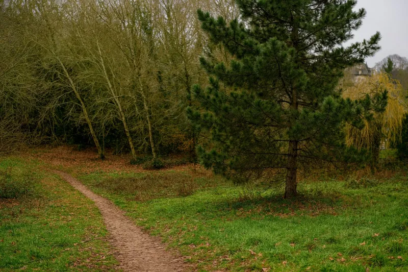 Terrain à bâtir à Flins-Neuve-Église