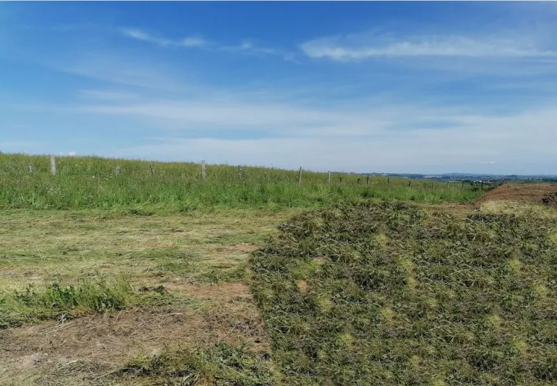 Terrain à bâtir à Castanet