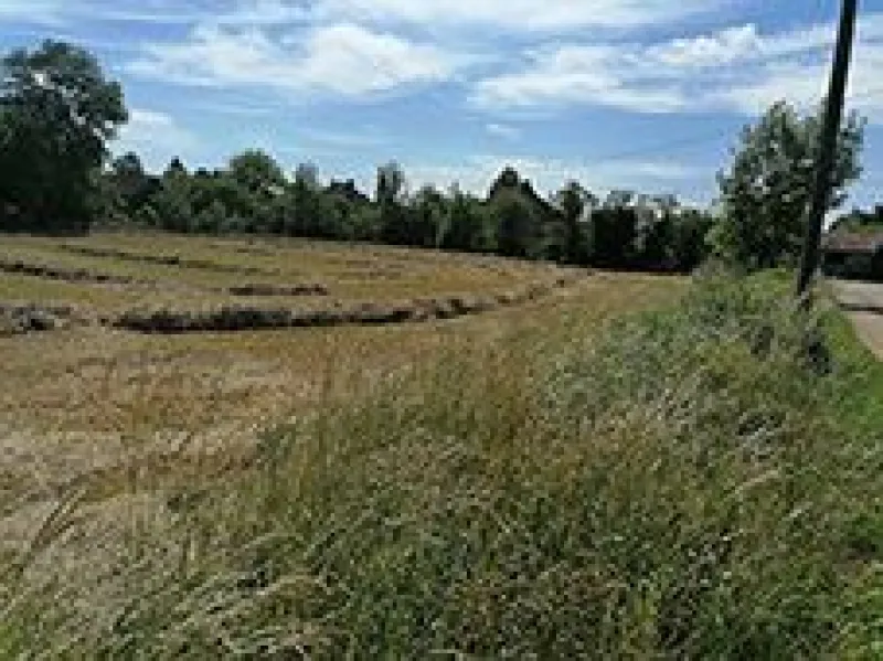 Terrain à bâtir à Martiel