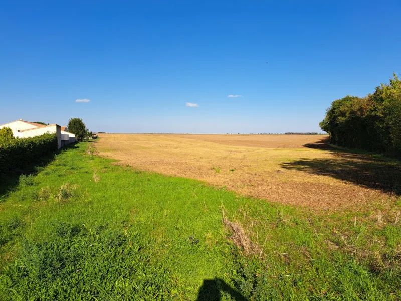 Terrain à bâtir à Villiers-en-Plaine