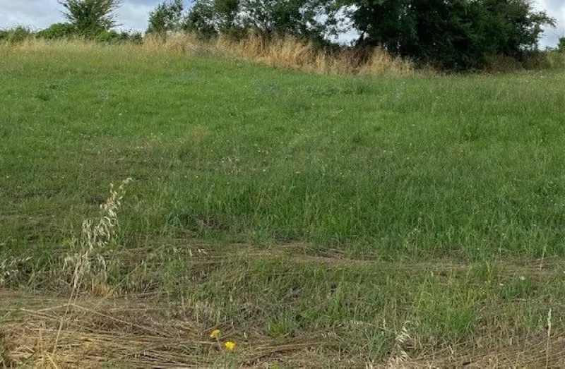 Terrain à bâtir à Petosse