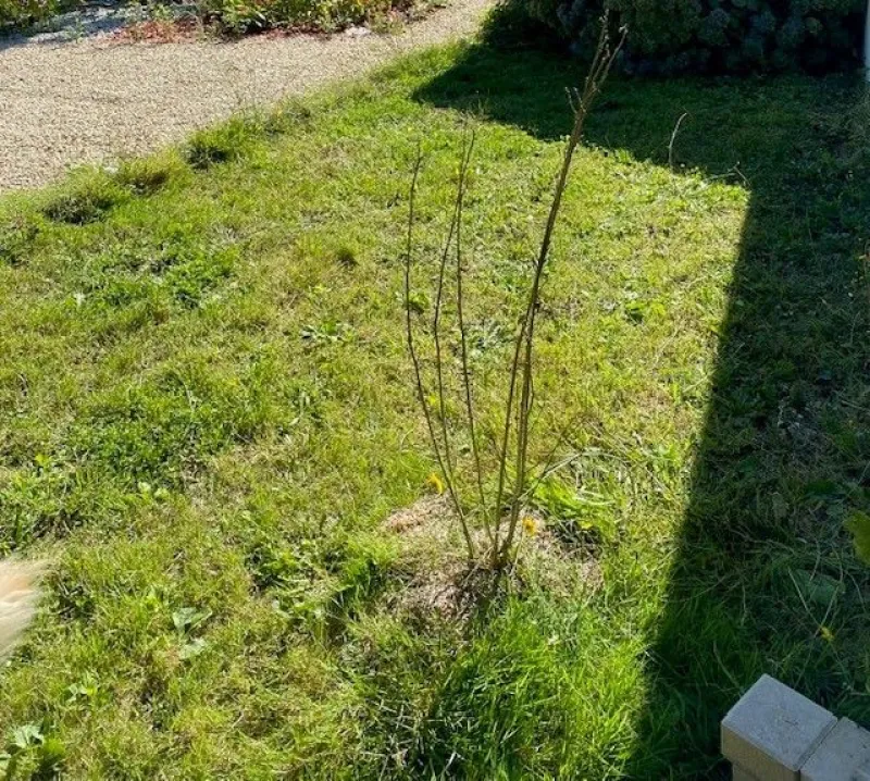 Terrain à bâtir à Petosse