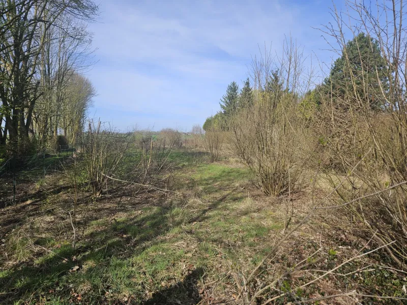 Terrain à bâtir à Revelles