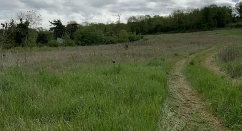 Terrain à bâtir à Fismes