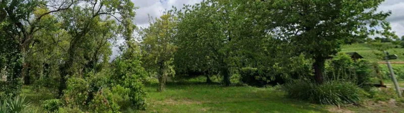 Terrain à bâtir à Montigny-sur-Vesle