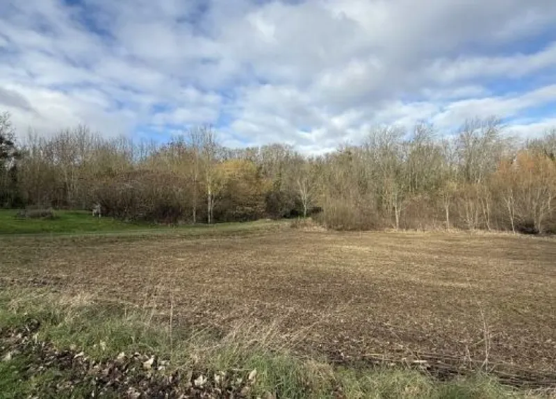 Terrain à bâtir à Reims