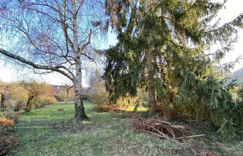 Terrain à bâtir à Cuise-la-Motte