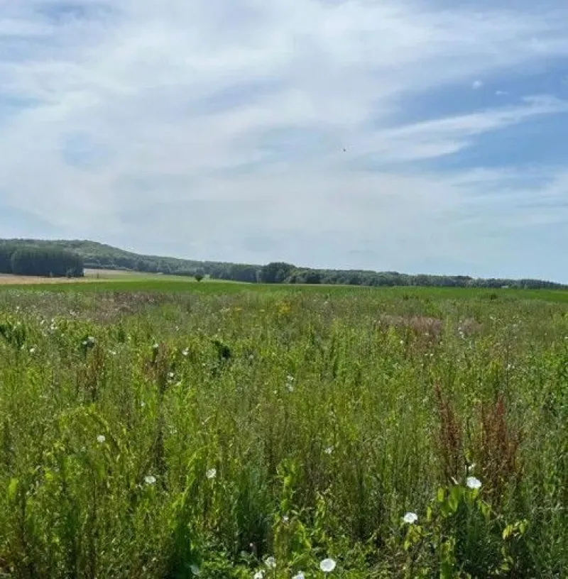Terrain à bâtir à Noyon