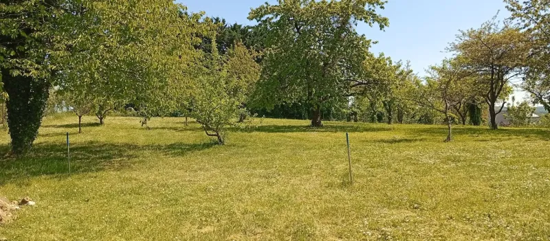 Terrain à bâtir à Bucy-le-Long