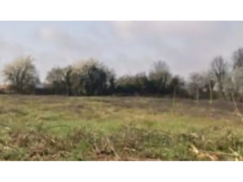Terrain à bâtir à Corme-Royal