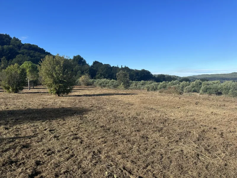 Terrain à bâtir à Rognes