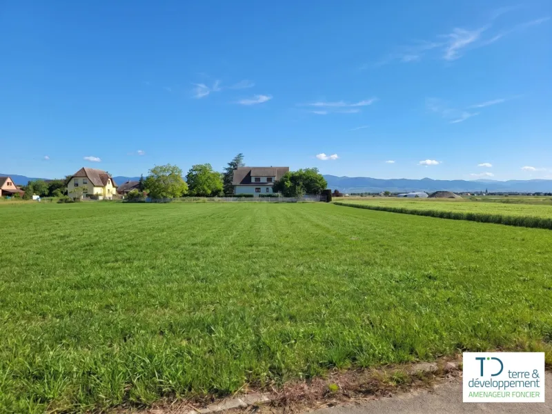 Terrain à bâtir à Niederhergheim
