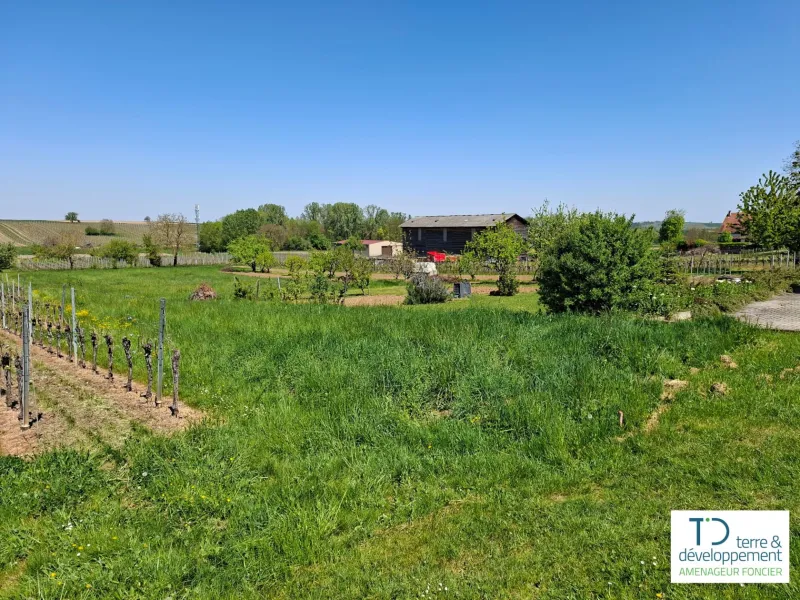 Terrain à bâtir à Dahlenheim
