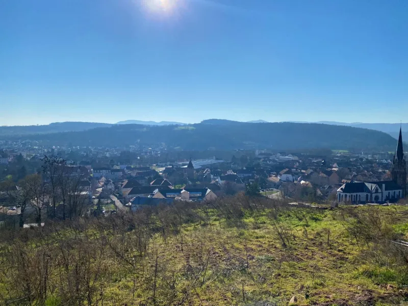 Terrain à bâtir à Mutzig