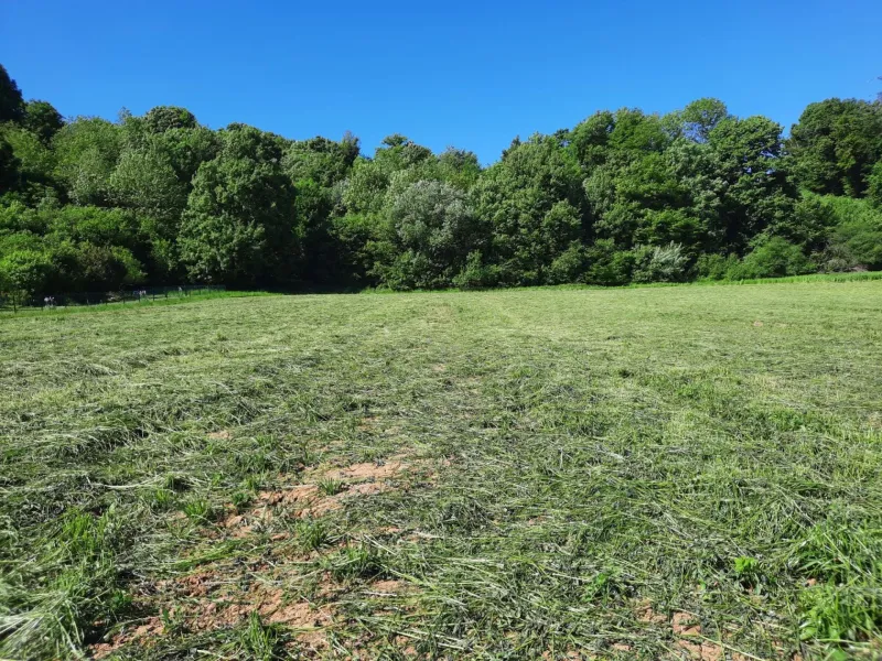 Terrain à bâtir à Bavilliers