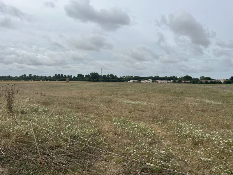 Terrain à bâtir à Charron