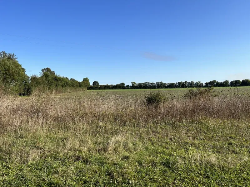 Terrain à bâtir à Angliers