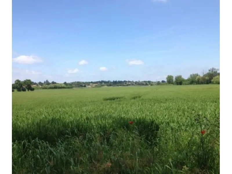 Terrain à bâtir à Saint-Médard-d'Aunis