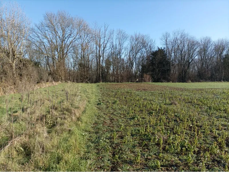 Terrain à bâtir à La Crèche