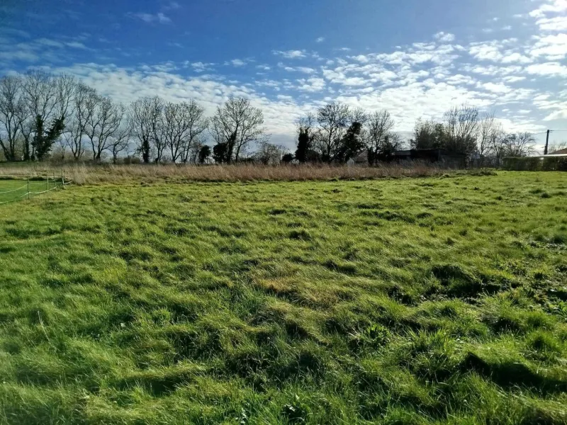 Terrain à bâtir à Niort