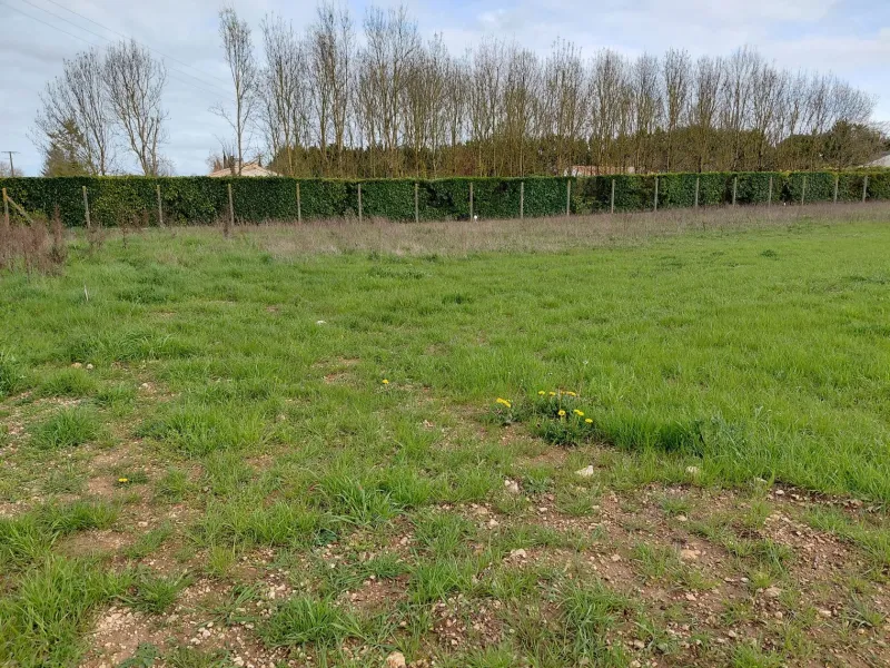 Terrain à bâtir à Vervant